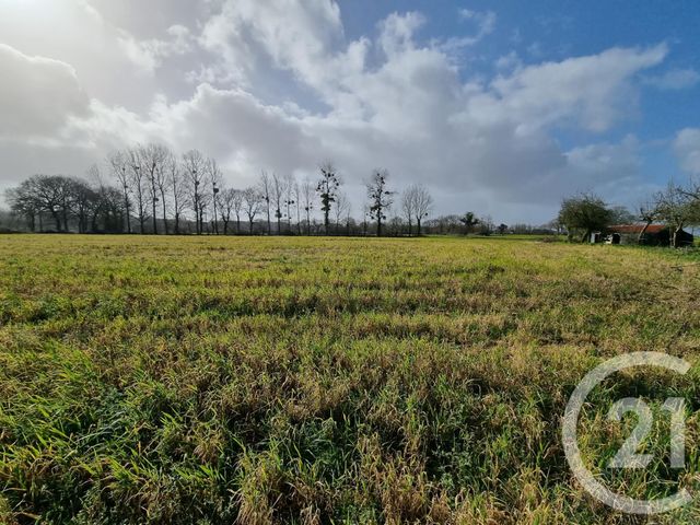 terrain à vendre - 656.0 m2 - LE MERZER - 22 - BRETAGNE - Century 21 Le Calvez