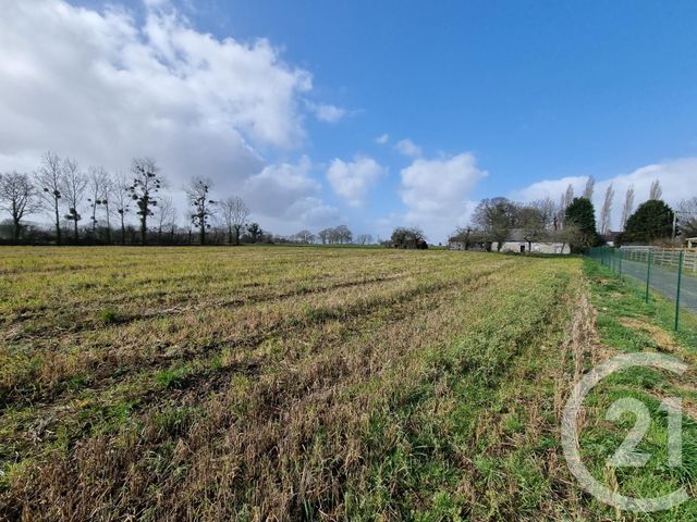 Afficher la photo en grand terrain à vendre - 741.0 m2 - LE MERZER - 22 - BRETAGNE - Century 21 Le Calvez