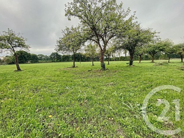 Afficher la photo en grand terrain à vendre - 741.0 m2 - LE MERZER - 22 - BRETAGNE - Century 21 Le Calvez