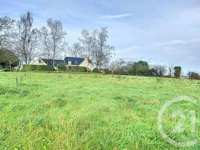 terrain - POMMERIT LE VICOMTE - 22