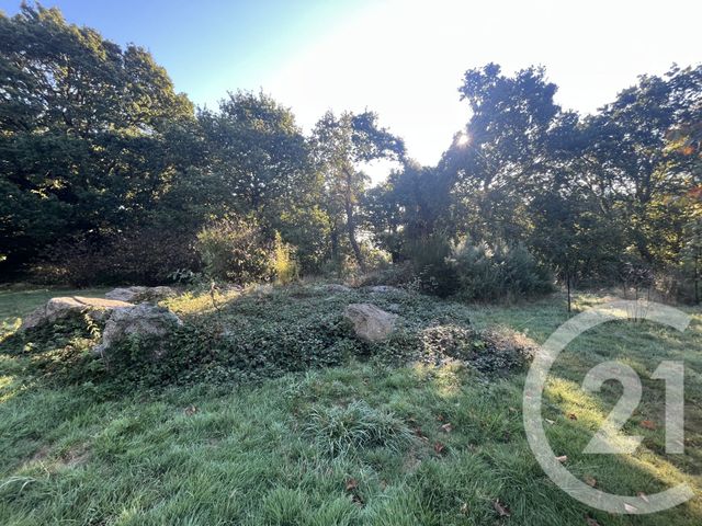 maison à vendre - 8 pièces - 152.7 m2 - BEGARD - 22 - BRETAGNE - Century 21 Le Calvez