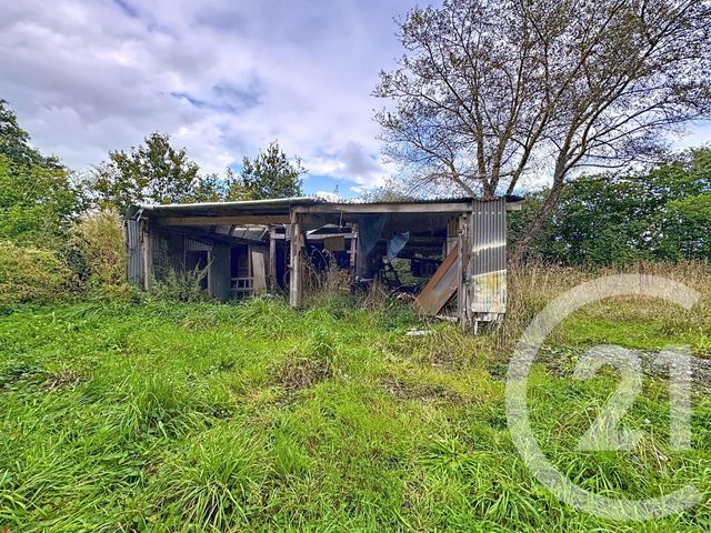 maison à vendre - 5 pièces - 120.0 m2 - PEDERNEC - 22 - BRETAGNE - Century 21 Le Calvez
