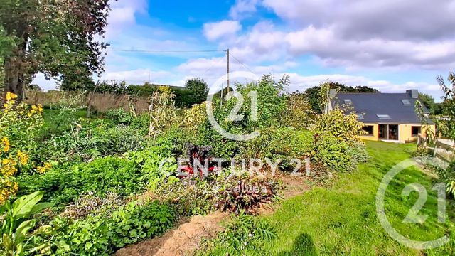 maison à vendre - 3 pièces - 98.0 m2 - PLUSSULIEN - 22 - BRETAGNE - Century 21 Le Calvez
