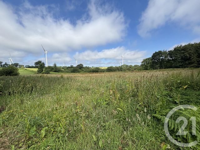 maison à vendre - 5 pièces - 122.11 m2 - BOURBRIAC - 22 - BRETAGNE - Century 21 Le Calvez