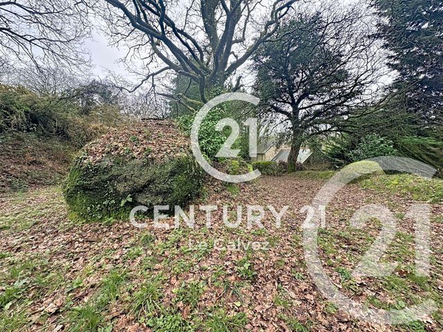 maison à vendre - 5 pièces - 186.56 m2 - ST CONNAN - 22 - BRETAGNE - Century 21 Le Calvez