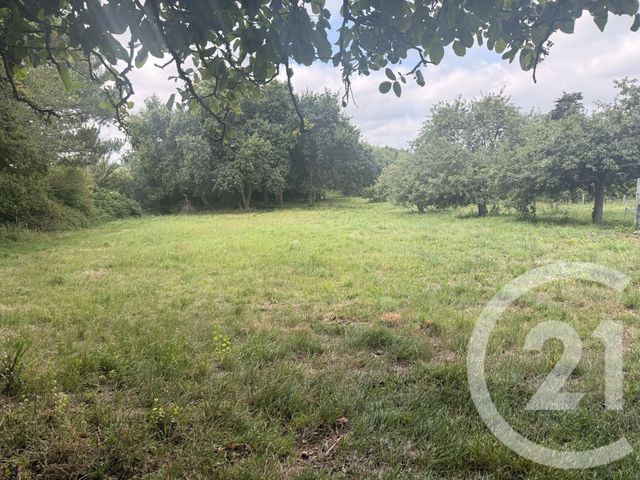 maison à vendre - 2 pièces - 46.87 m2 - PAIMPOL - 22 - BRETAGNE - Century 21 Le Calvez