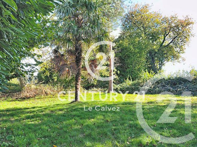maison à vendre - 3 pièces - 61.0 m2 - PEDERNEC - 22 - BRETAGNE - Century 21 Le Calvez