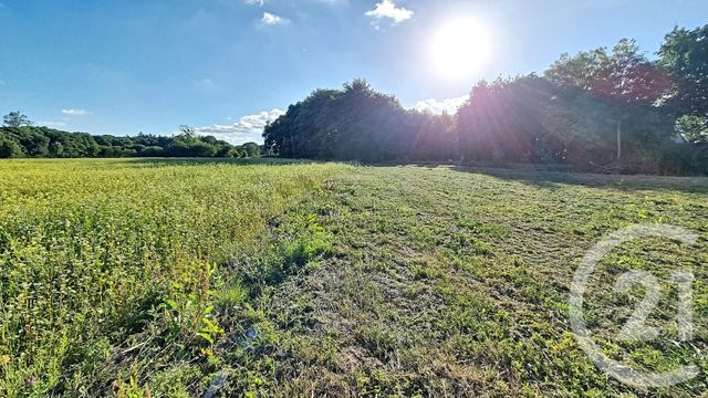 Terrain à vendre TREGONNEAU