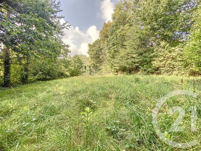 terrain à vendre - 1062.0 m2 - CHATELAUDREN - 22 - BRETAGNE - Century 21 Le Calvez