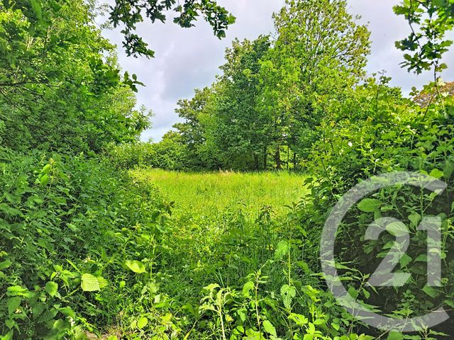 maison à vendre - 5 pièces - 78.0 m2 - ST FIACRE - 22 - BRETAGNE - Century 21 Le Calvez
